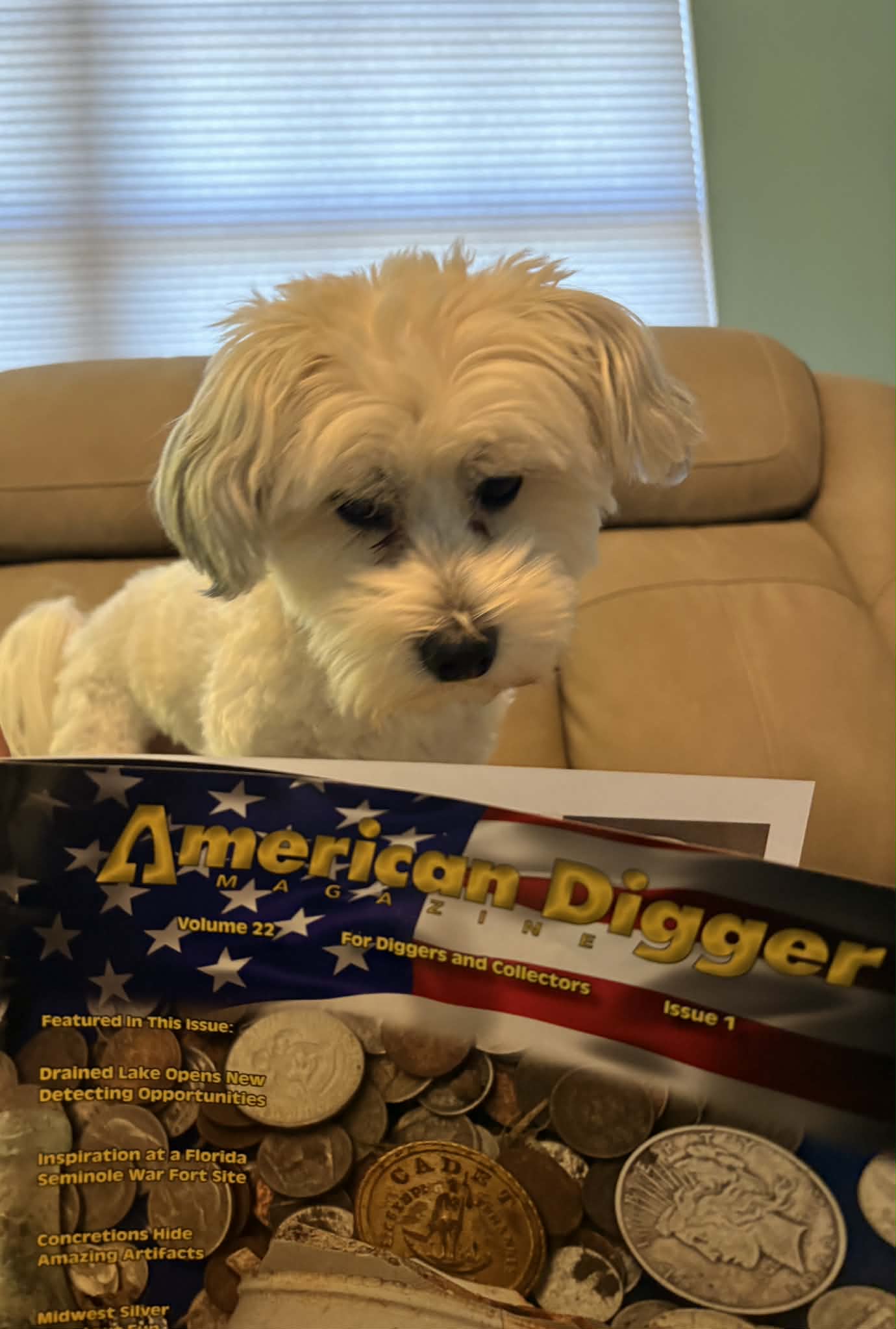  Vote for Phil's pet Cody!
