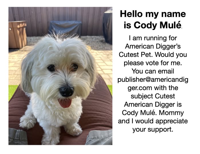 All about American Digger Cutest Pet
  Contest